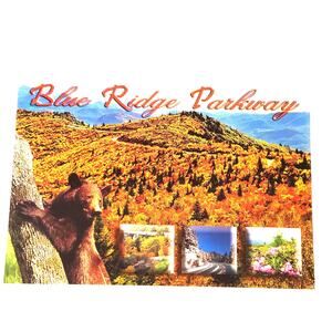 VTG Blue Ridge Parkway Multi‑View Postcard Bear Cub Autumn NOS